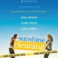 Sunshine Cleaning